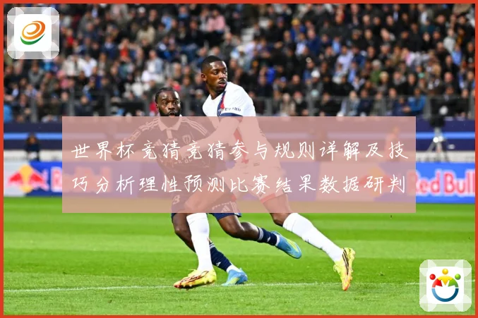 世界杯竞猜竞猜参与规则详解及技巧分析理性预测比赛结果数据研判-深度解析